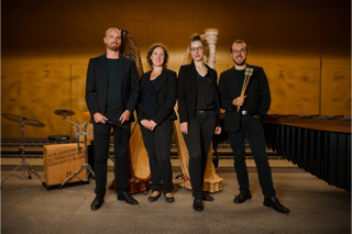 Galeriebild Ensemble harfussion