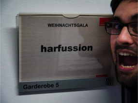 Galeriebild Ensemble harfussion