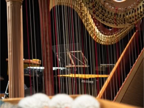 Galeriebild Ensemble harfussion