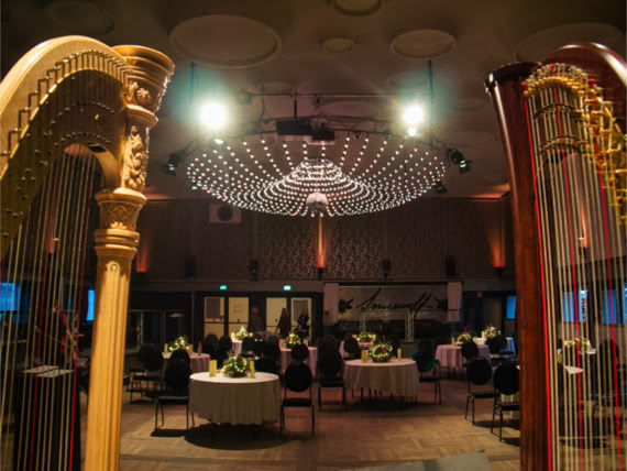 Galeriebild Ensemble harfussion