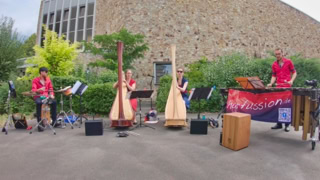 Galeriebild Ensemble harfussion