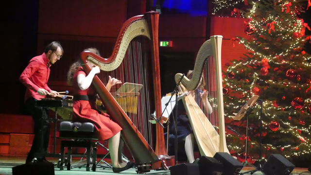 Galeriebild Ensemble harfussion