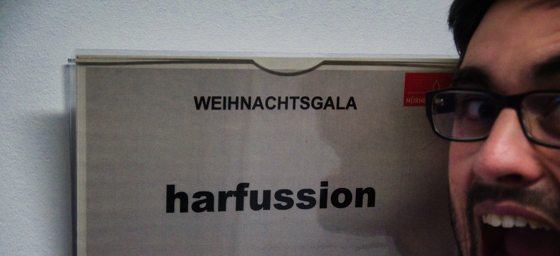 Galeriebild Ensemble harfussion