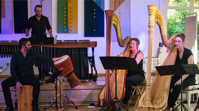 Galeriebild Ensemble harfussion