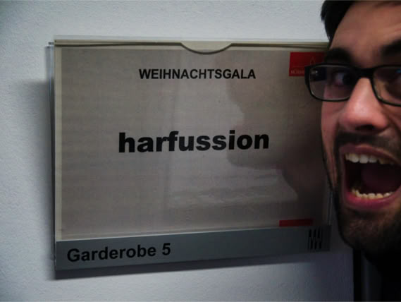 Galeriebild Ensemble harfussion