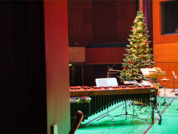 Galeriebild Ensemble harfussion