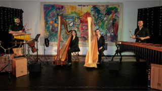 Galeriebild Ensemble harfussion