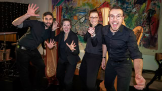 Galeriebild Ensemble harfussion