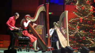 Galeriebild Ensemble harfussion